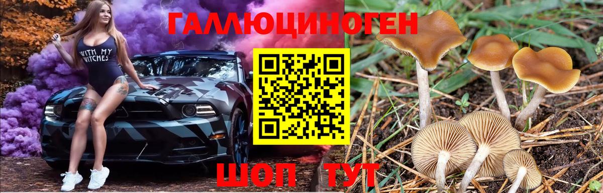 Ликино-Дулёво  Галлюциногенные грибы ЛСД  Вход с VPN 