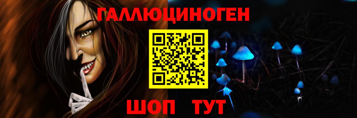 Псилоцибиновые грибы Psilocybe Ликино-Дулёво